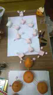 molecules modeled out of tangerines and marshmallows by Jo Galloway for bioLeeds in Leeds Market