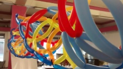 Balloon model of DNA - close up and look along the molecule.